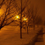 Winter Fog 02 thumbnail